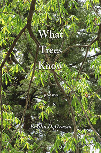 Book Cover What Trees Know